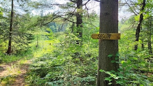 A forested area with a wooden sign reading "SEGUIN" on a tree.