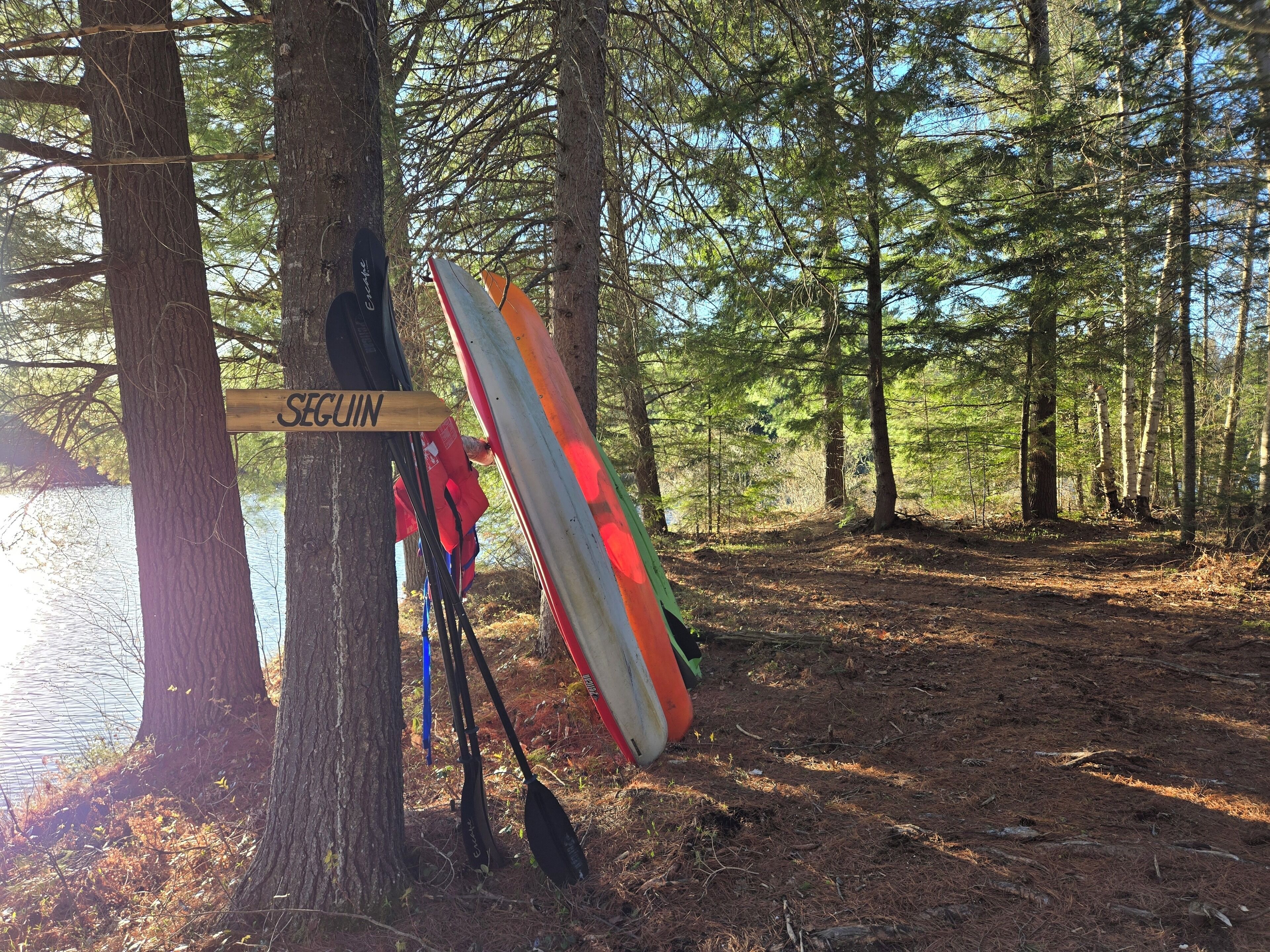 A forested area with a sign reading "SEGUN" and a paddleboard leaning against a tree.