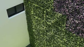 A room with a green artificial turf floor, a white wall, and a section of purple and green artificial foliage. - 9 Estrellas Hotel (Comitan de Dominguez)