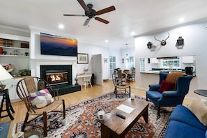 Fireplace, video games, DVD player, books