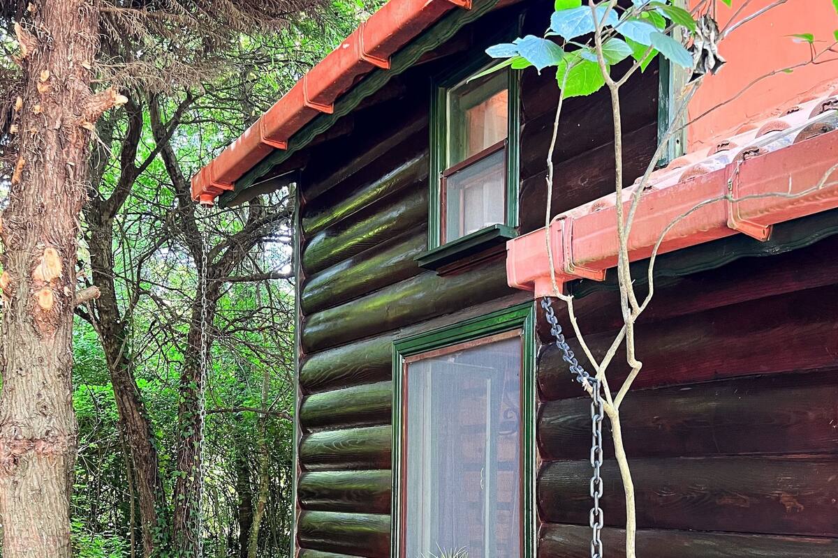 Uma cabana rústica de madeira com uma pequena janela e um vaso de planta no parapeito.