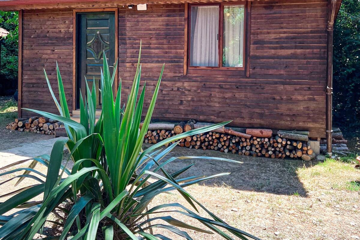 Uma cabana de madeira com porta, janela e chaminé.