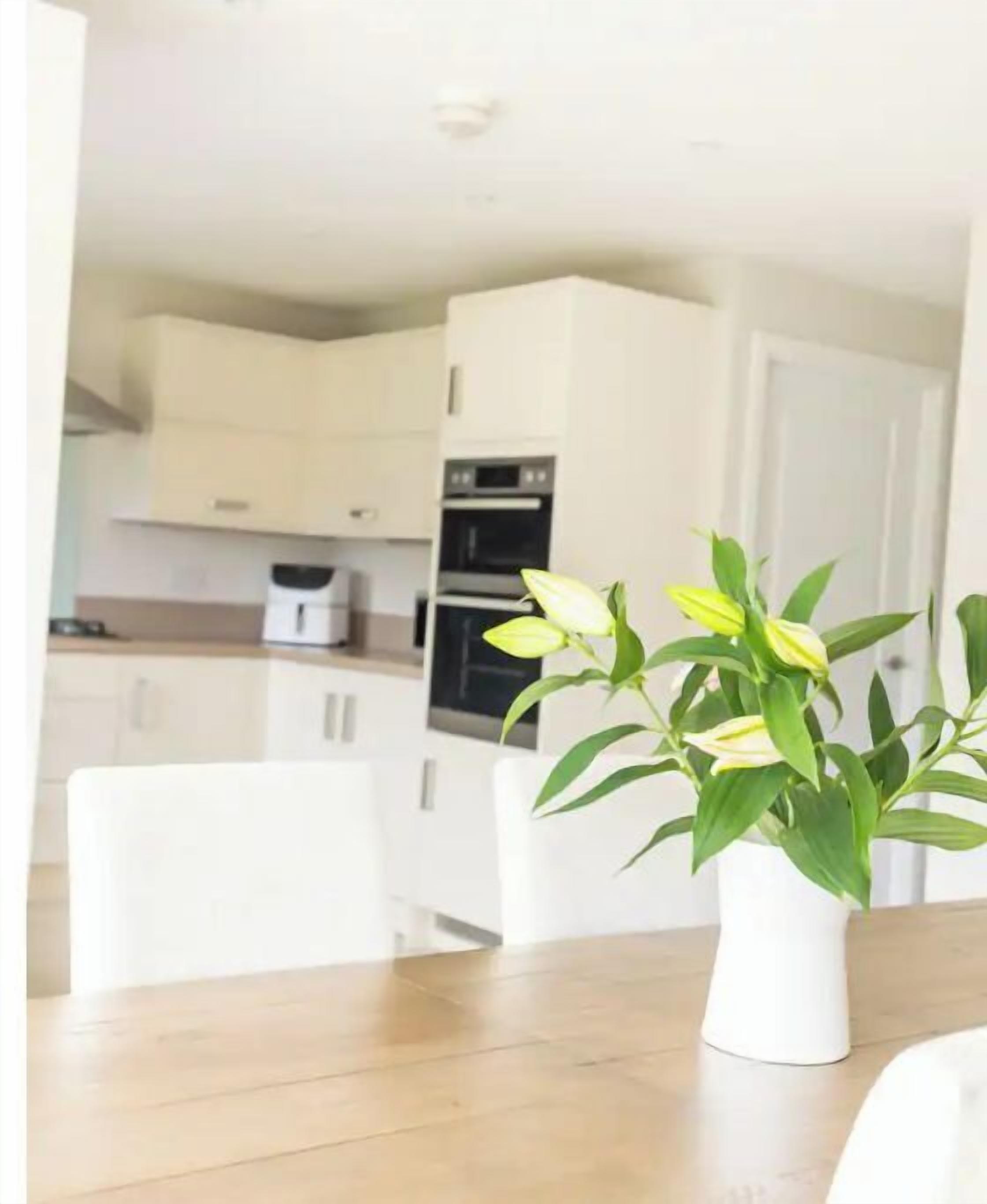 A modern kitchen with white cabinets, a dining table with chairs, and a potted plant.