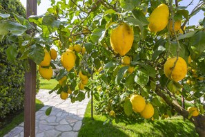 Property grounds - Resort Ravella: Lord Executive room (Sant´Agata sui Due Golfi)