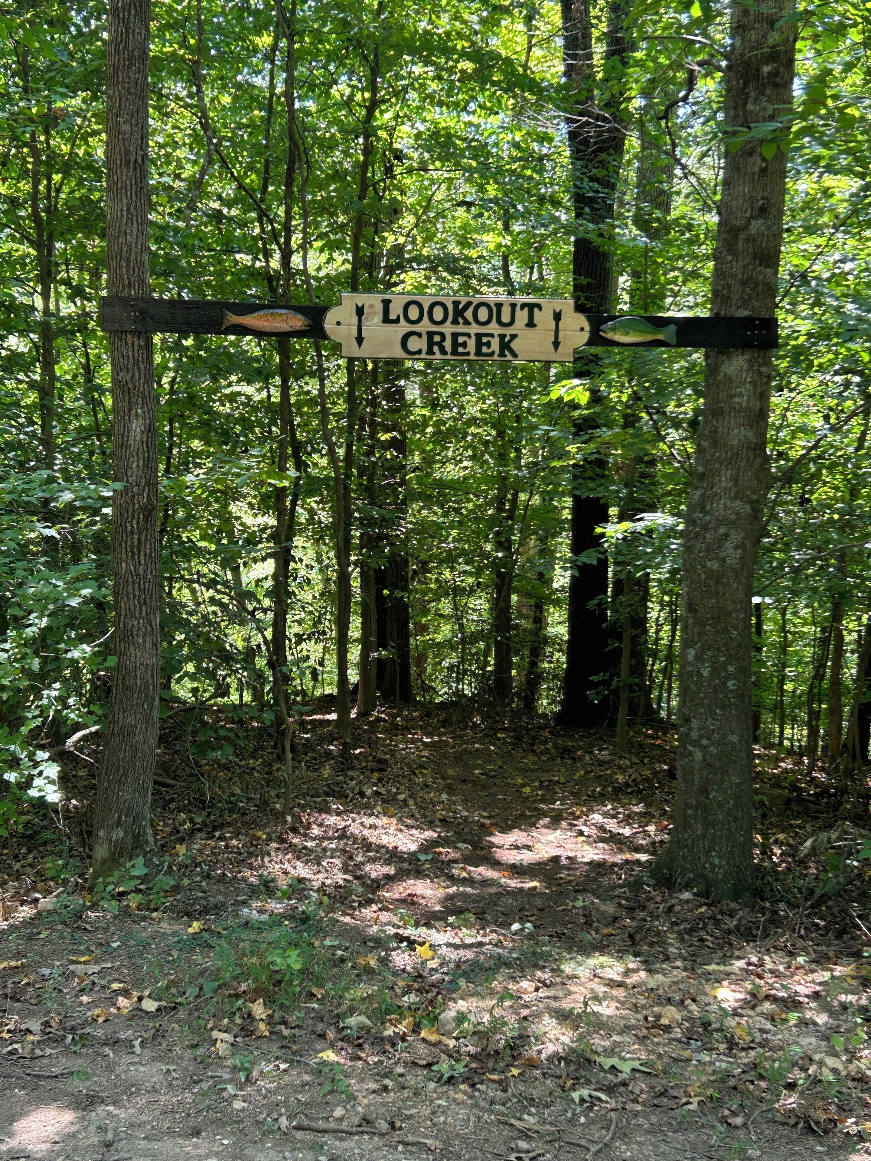 Trail to the creek