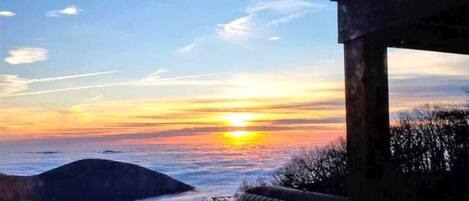 Vista desde la propiedad