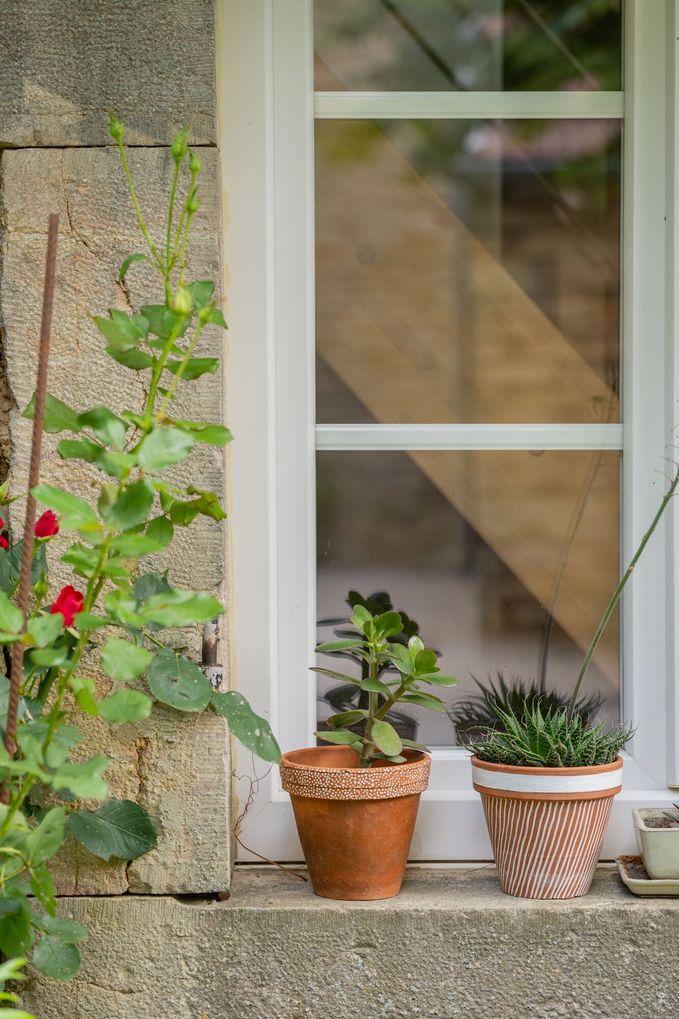 A potted plant on a stone ledge next to a window.