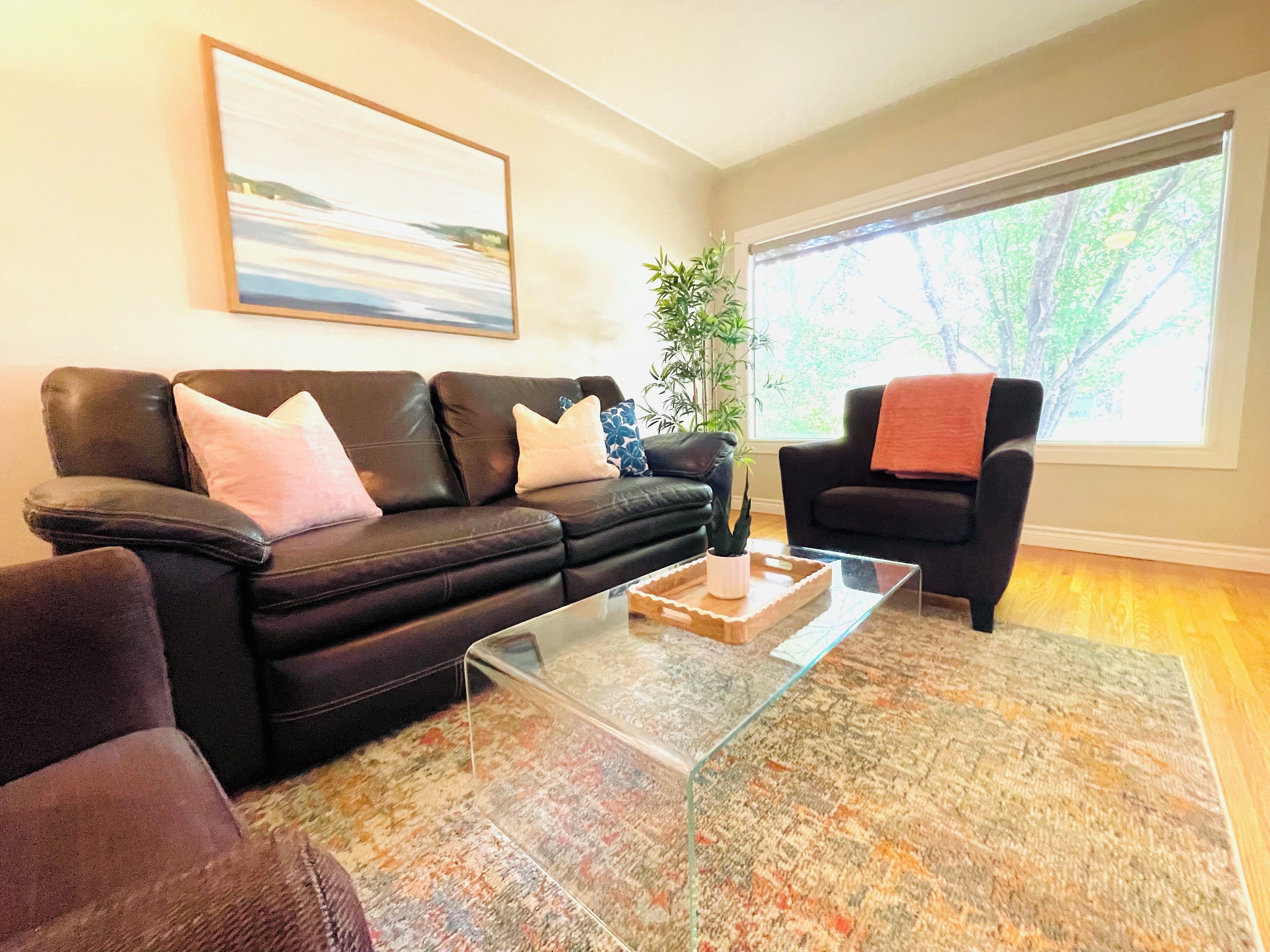 تلفزيون ذكي