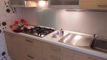 Fridge, microwave, stovetop, coffee/tea maker