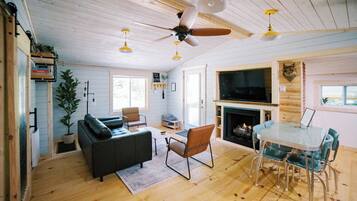 Smart TV, fireplace, books