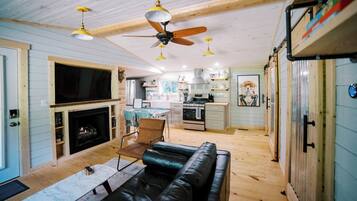 Smart TV, fireplace, books