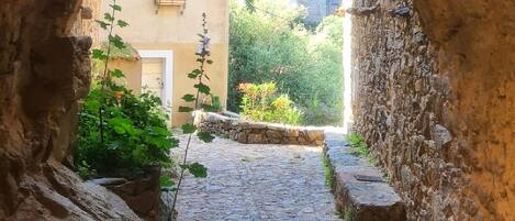 Terrein van de accommodatie