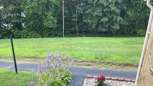 Un sentier de jardin bordé de feuillage verdoyant et de plantes en fleurs.