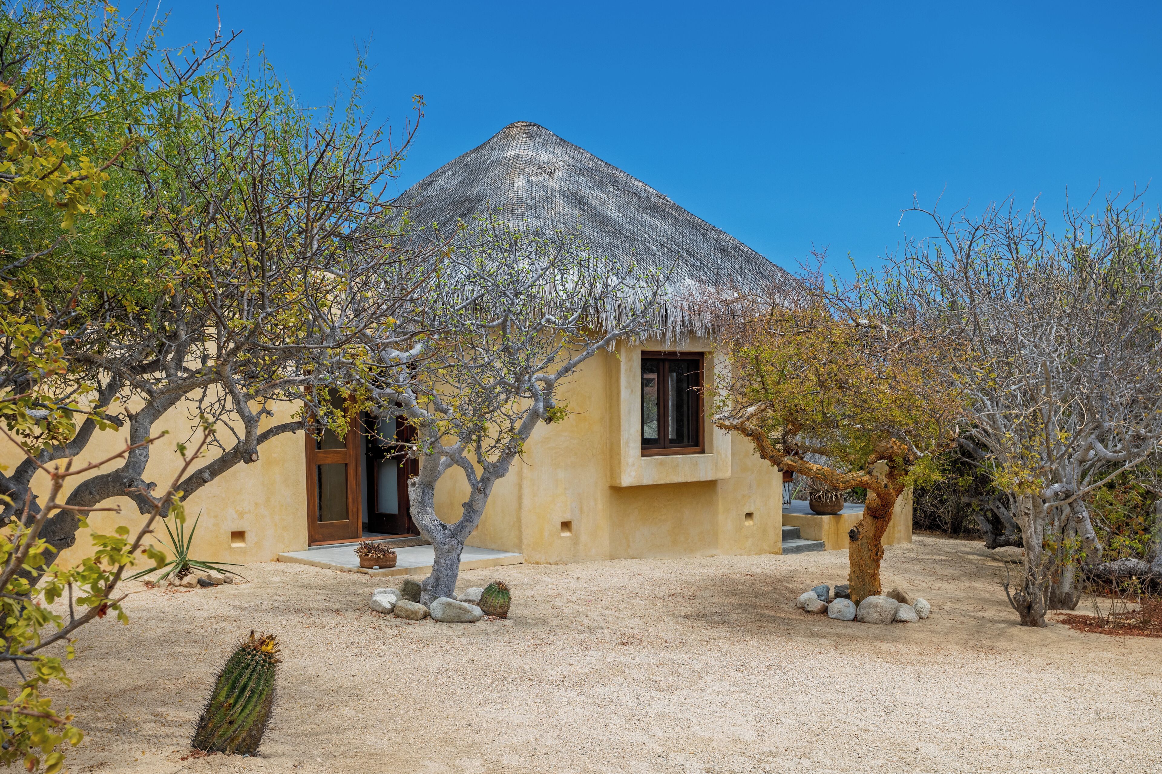 Un bâtiment de style désertique, doté d’un toit de chaume, entouré de cactus et de quelques arbres clairsemés.