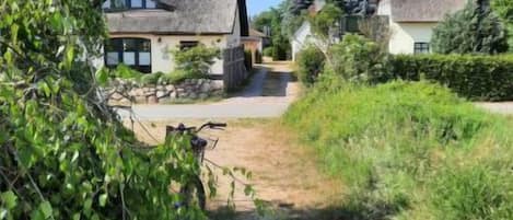 A rural pathway leading to traditional houses with thatched roofs, surrounded by greenery.