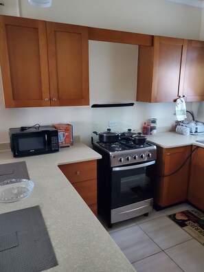 Kühlschrank, Mikrowelle, Herdplatte, Wasserkocher