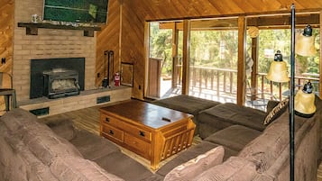 TV, fireplace, books