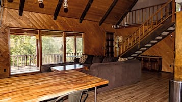 TV, fireplace, books