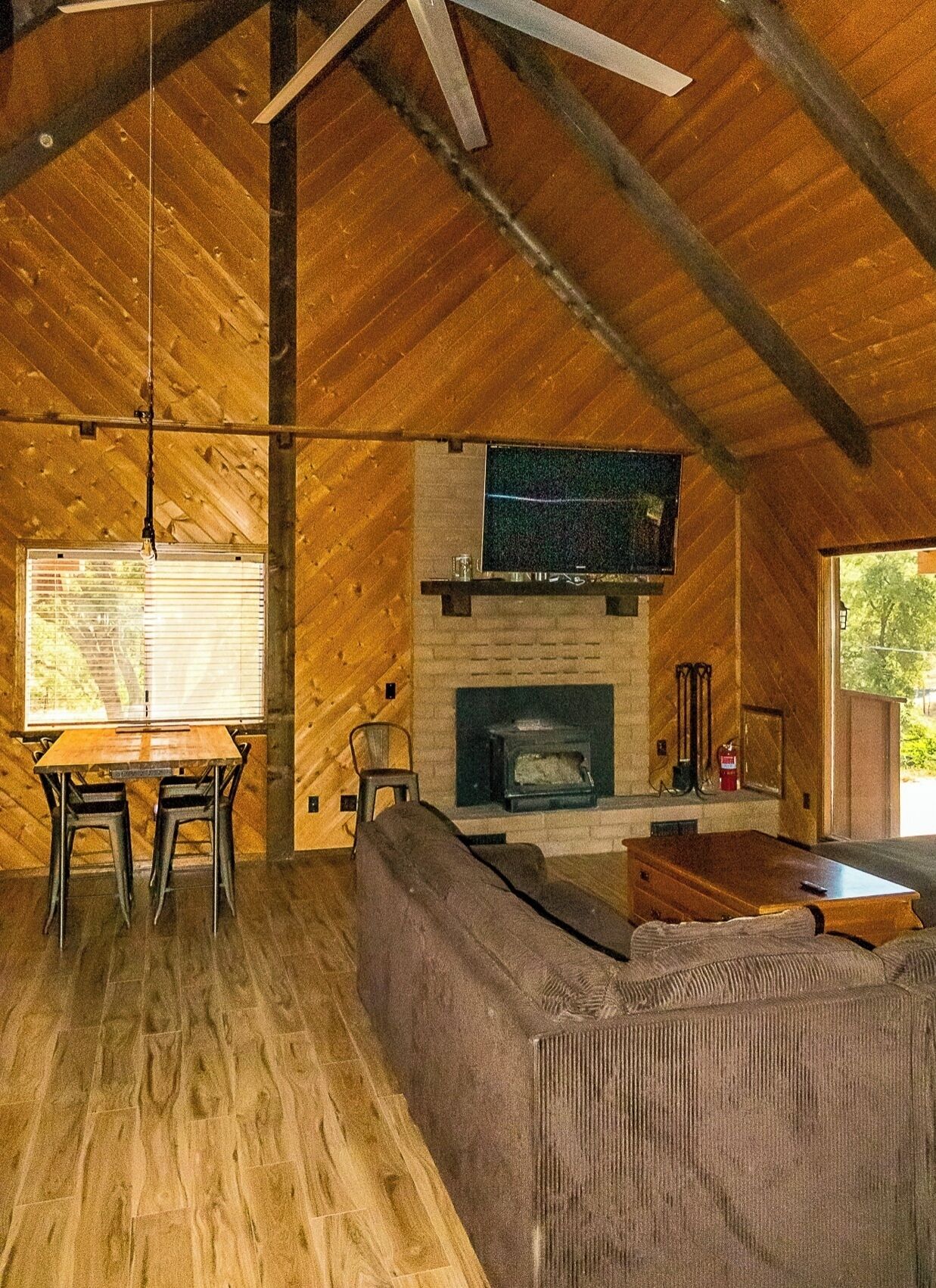 TV, fireplace, books