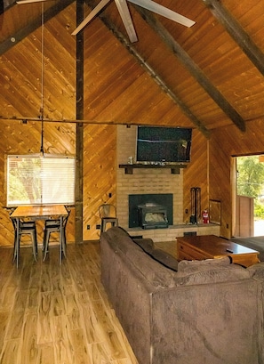 Una televisión, una chimenea, libros