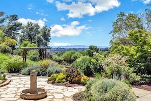 A garden with a stone fountain, various plants, and a pergola.