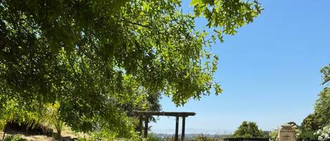 Área da propriedade