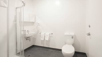 A modern bathroom with a glass shower enclosure, a white sink, and a toilet.