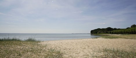 A sandy beach with sparse grass and a calm sea.