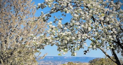 Jenolan Luxury Farm Stay in Blue Mountains