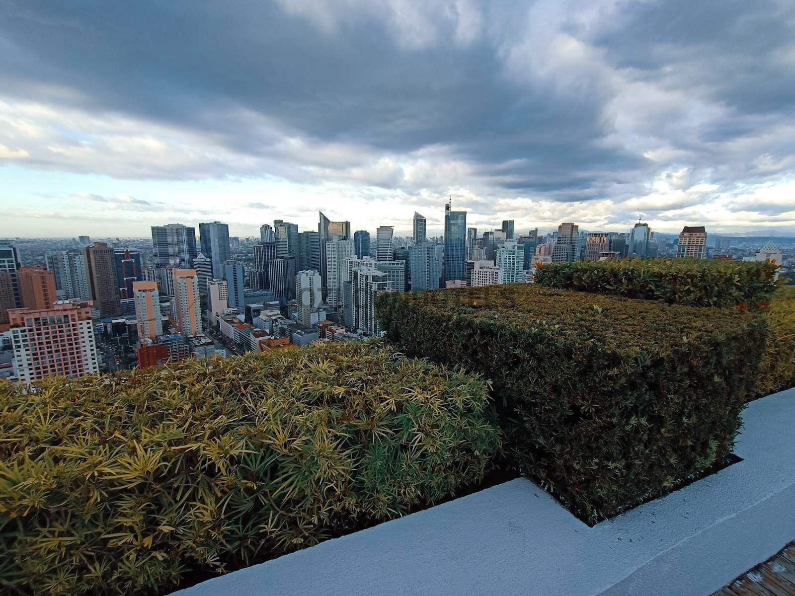 A cityscape with modern high-rise buildings and a well-maintained hedge in the foreground.