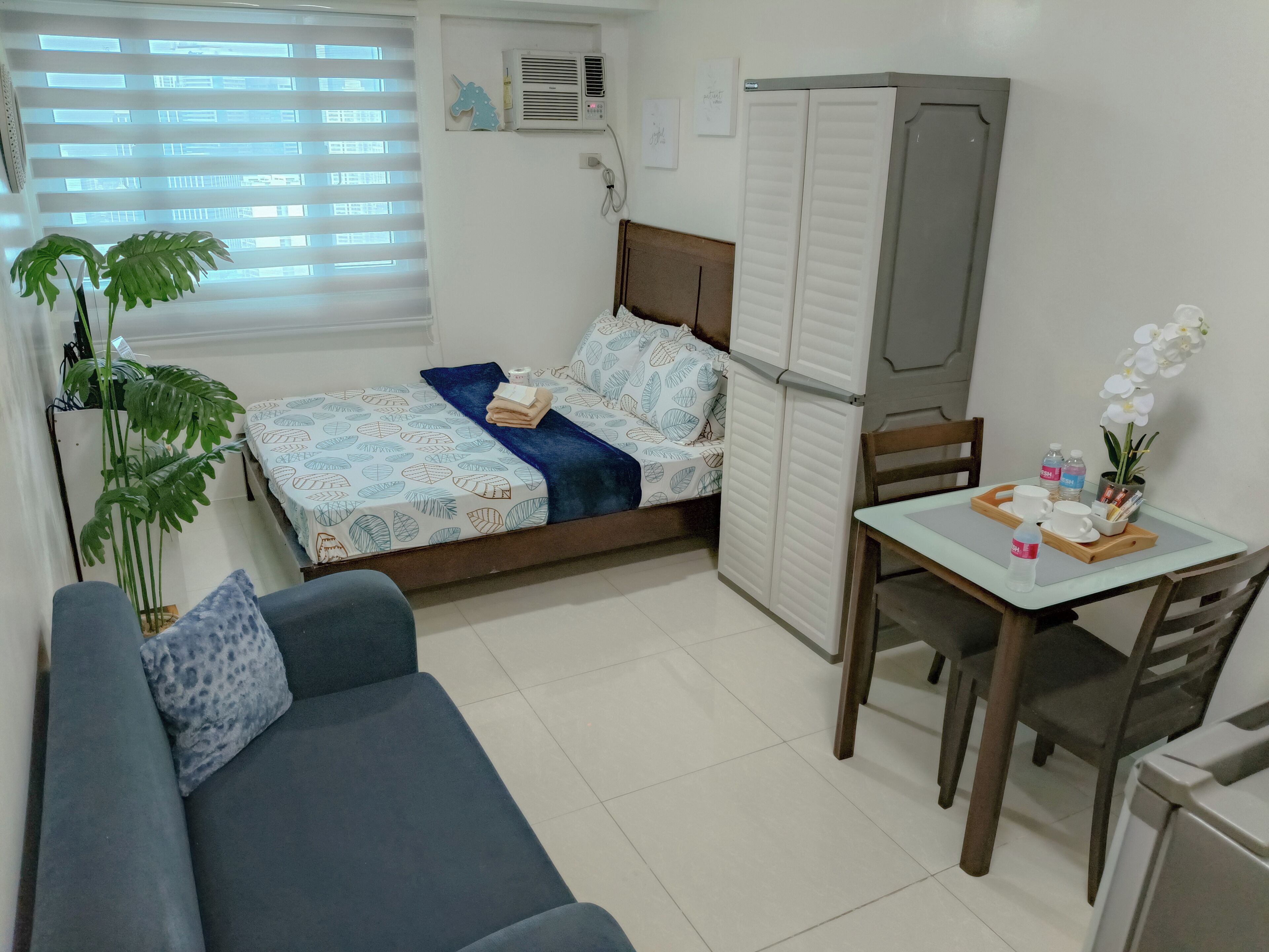 A small, tidy room with a bed, a sofa, a table with cups and a plant, and a window with blinds.