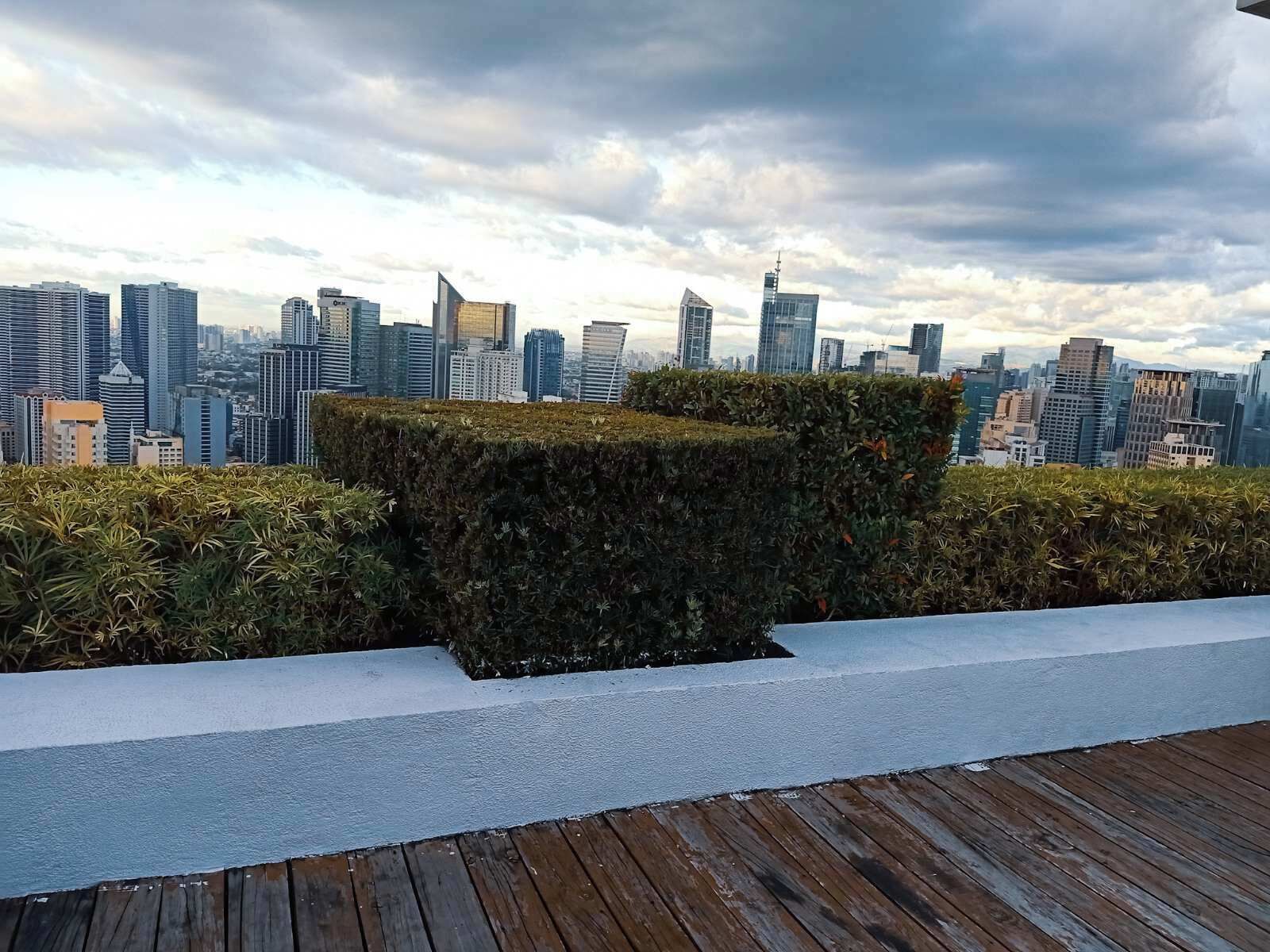 A rooftop terrace with a view of a city skyline, featuring modern high-rise buildings and a neatly trimmed hedge.