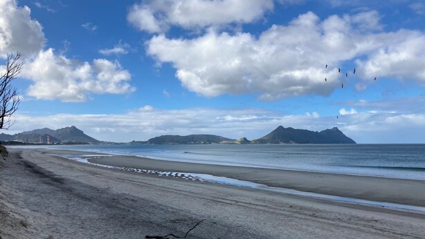 Une plage avec un ciel dégagé, une mer calme et des montagnes à l’horizon.