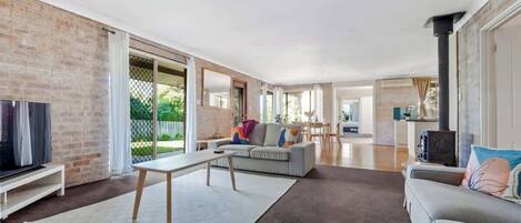 TV, fireplace, books