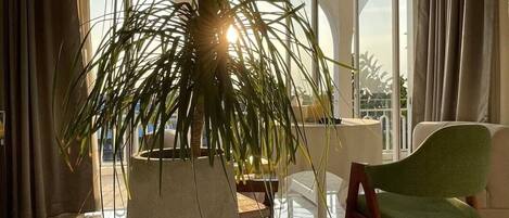 Rom – basic, balkong, elveutsikt