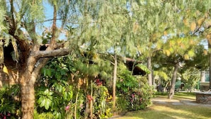 Um jardim exuberante com diversas plantas e árvores, um muro de pedra e uma área de estar com cadeiras.
