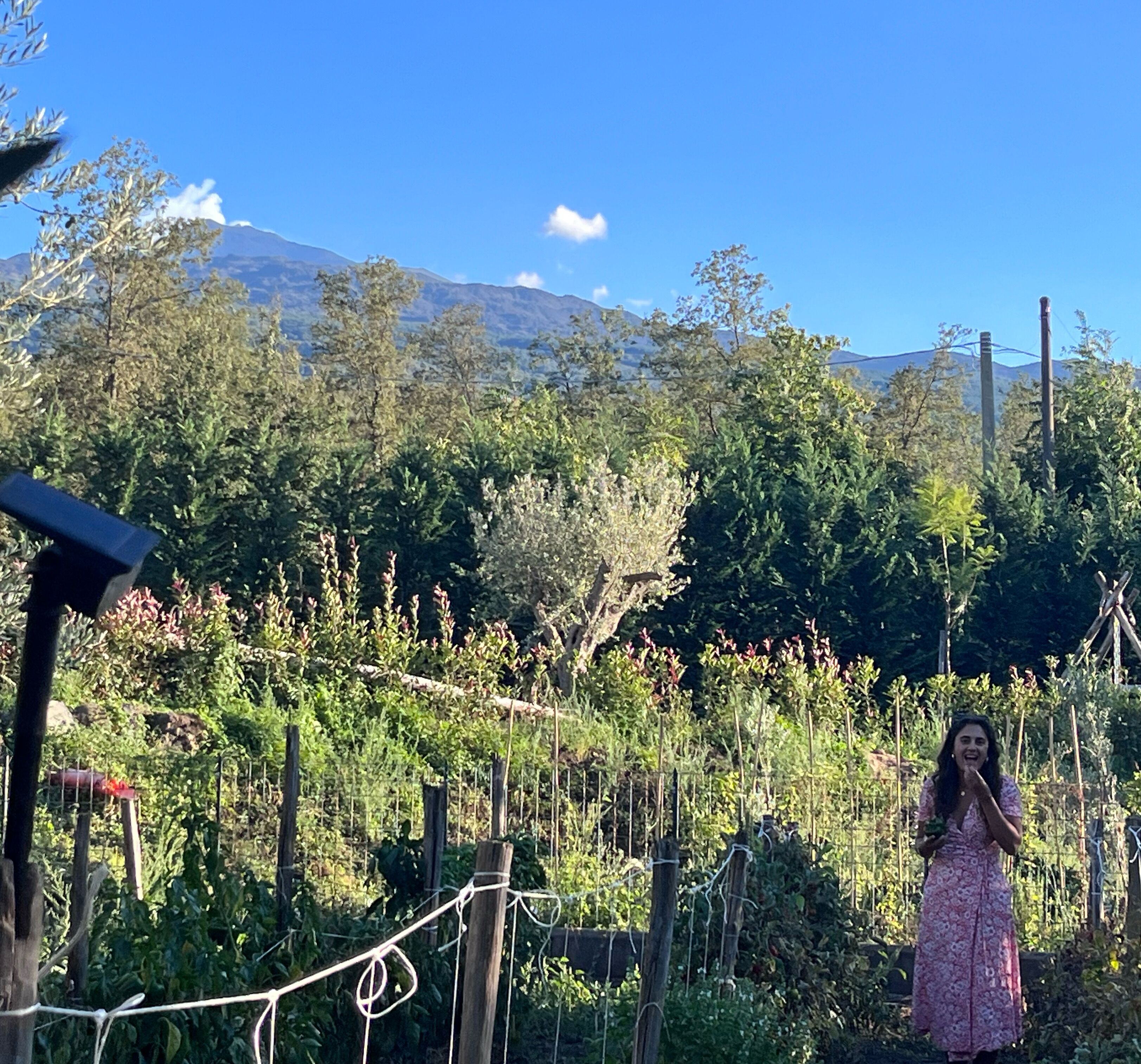Une personne se tient dans un jardin, avec une montagne en arrière-plan.
