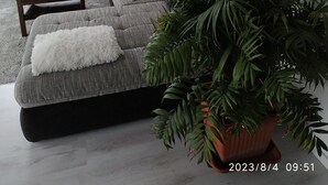 Ein modernes Wohnzimmer mit einem grauen Sofa, einer weißen, flauschigen Decke, einem hölzernen Beistelltisch, einem Blumentopf und einer Wand mit abstrakter Kunst.