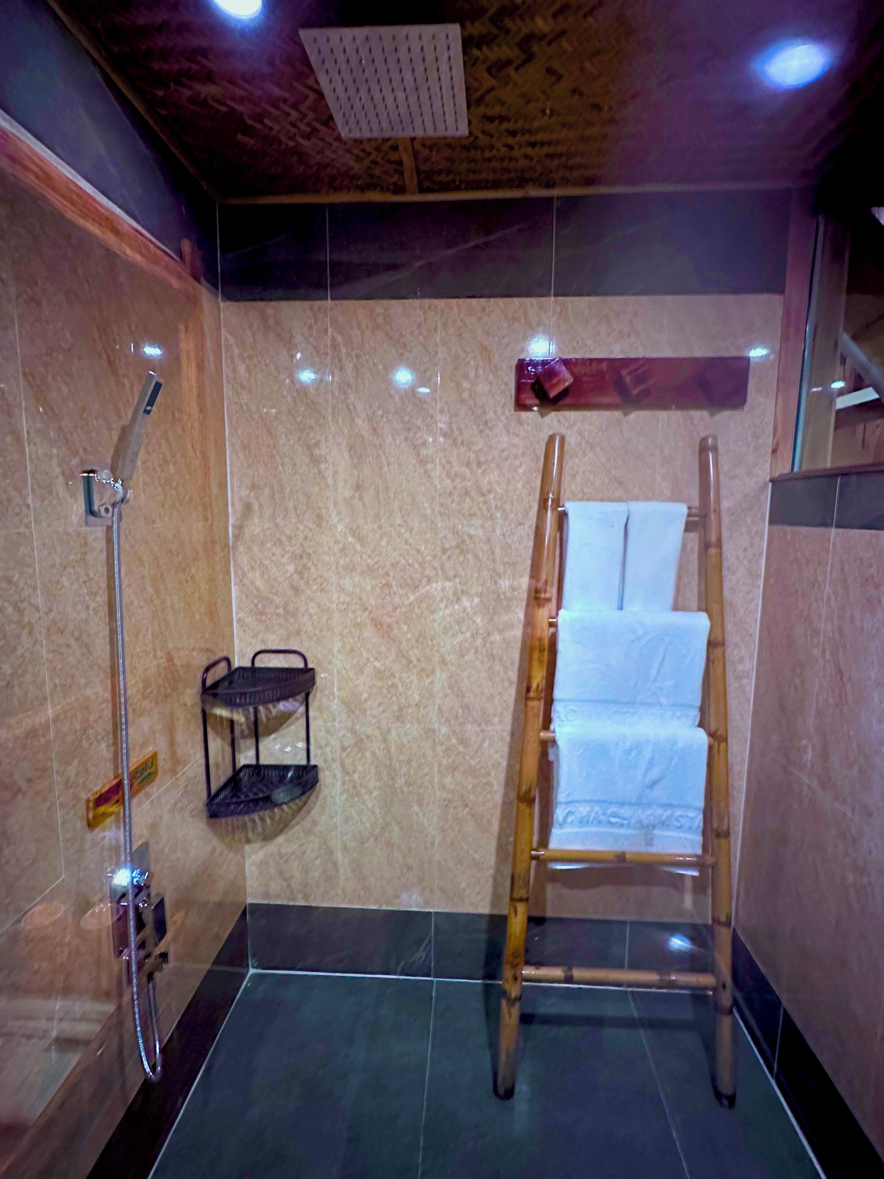 Une salle de bain avec une douche, un porte-serviettes et une échelle en bois.