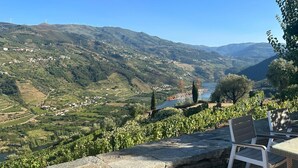 A stone wall with a bench and table overlooking a valley with vineyards and a river.