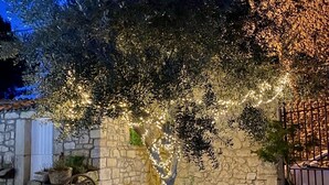 Property grounds - Charming 6-Person Stone House with Pool in Provence (Mallemort)