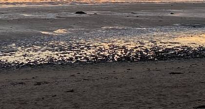 Joli Maison de Vcances PrĂšs du Mont St Michel