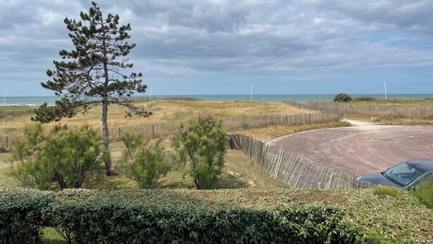 Un paysage côtier avec une clôture en bois, un pin et une voiture garée près de la clôture.