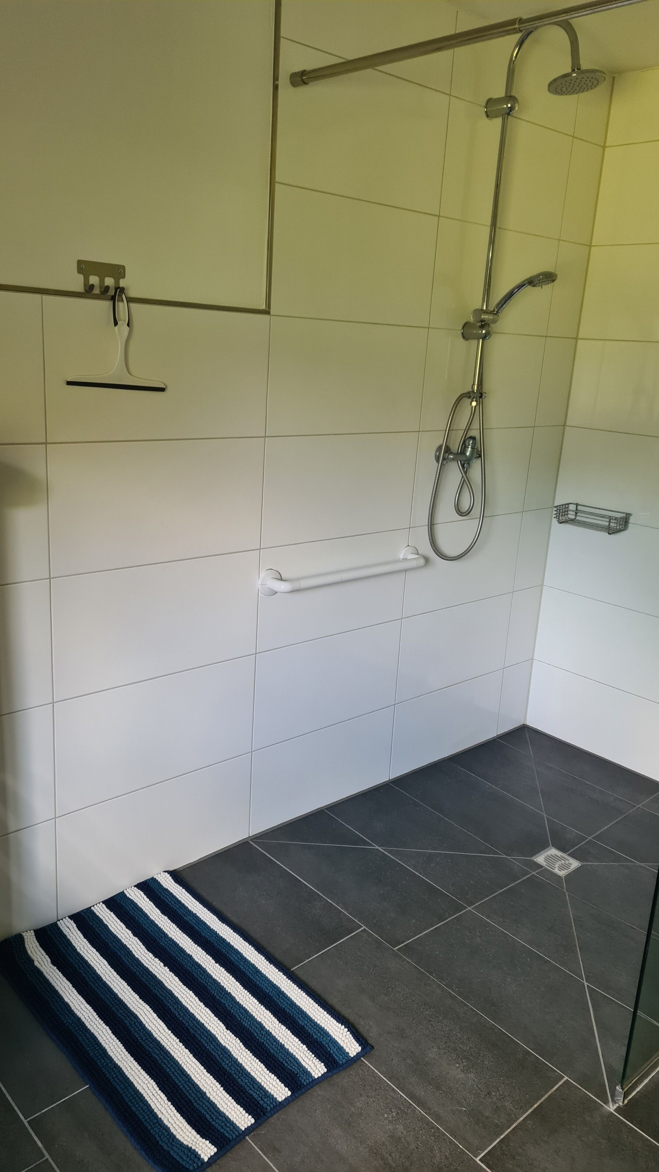 Ein Badezimmer mit Dusche, Haltegriffen und einer Streifen-Teppich.