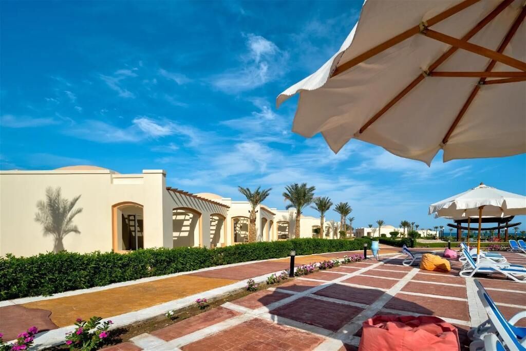 A resort with a paved walkway, palm trees, and lounge chairs with umbrellas.