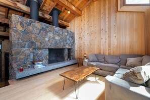 Smart TV, fireplace, video games, books