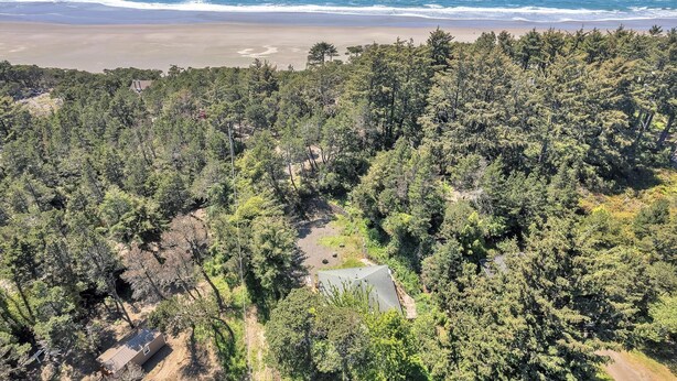 Vista aérea de una zona boscosa con una playa y el océano al fondo.