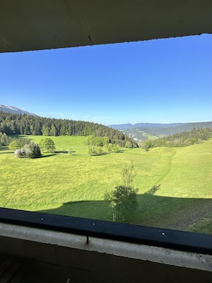 Vista dalla finestra su un prato verde con alberi e montagne in lontananza.