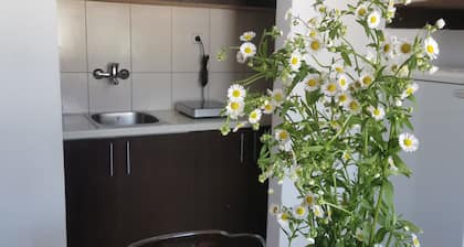 FARIS is a bright centrally located apartment with nice danube and city view