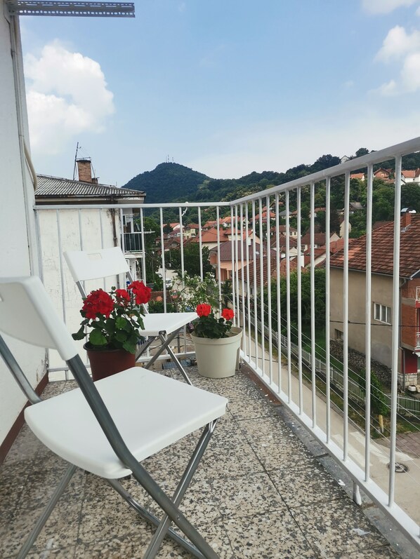 Property grounds - FARIS is a bright centrally located apartment with nice danube and city view (Donji Milanovac)